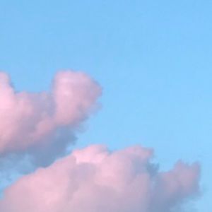 Meet your Posher, Katelyn